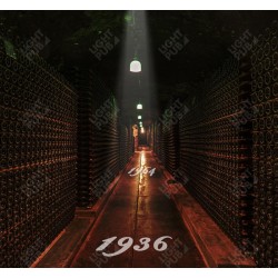 Projection lumineuse millésimes vins
